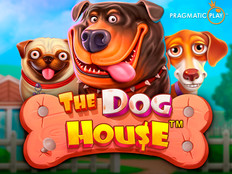 Podgląd gry The Dog House z uroczymi pieskami i budą w stylu 3D